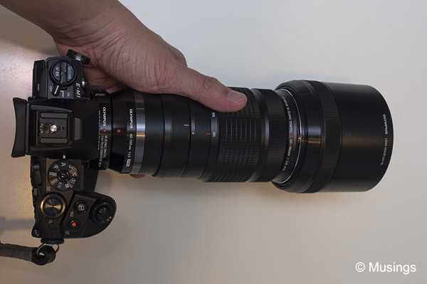 The E-M1 with the 40-150mm and teleconverter. Long lens, making the grip an essential item!