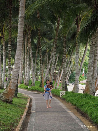 The tall coconut and palm trees made for very pleasant strolls.