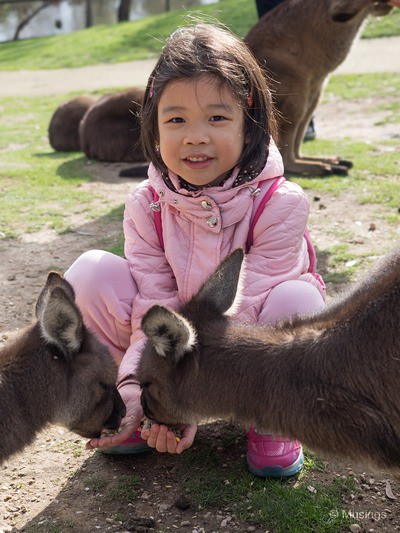 Two hands so that I can feed all the 'Roos even quicker.