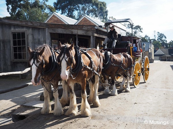 The house coach is a separate expense. The four draft horses go round (and round) the town. 