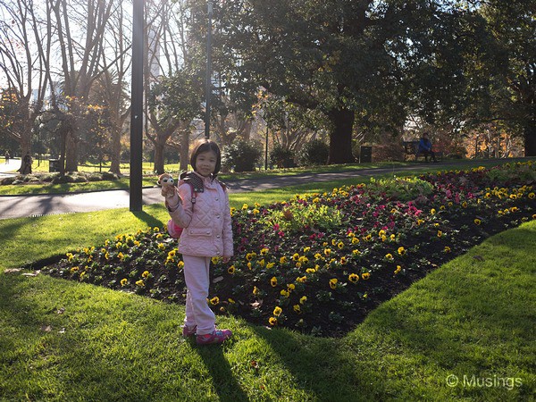 Flower beds in winter.