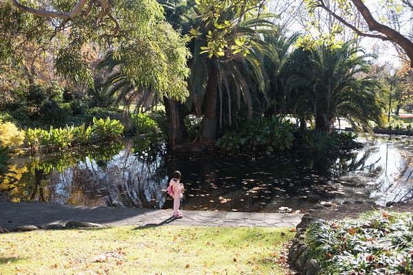 One of the three small ponds in Queen Victoria Gardens.