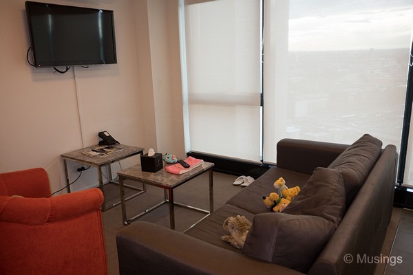 Living area, with Hannah and Pluto's toys tossed on the sofa.