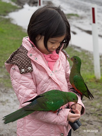 Bird feeding at Hawdon Avenue. The birds will land on you even if you don't have food. We didn't get pooped at, though someone in our package did!