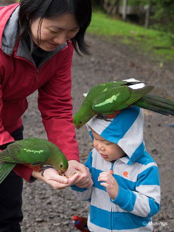 No fear. If our 3 year old can handle it, so can you.:)