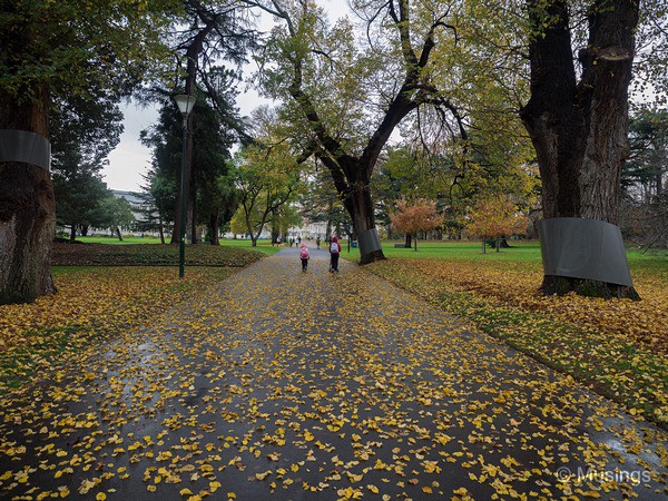 Carlton Gardens leading to the Royal Exhibition Building and the Melbourne Museum.