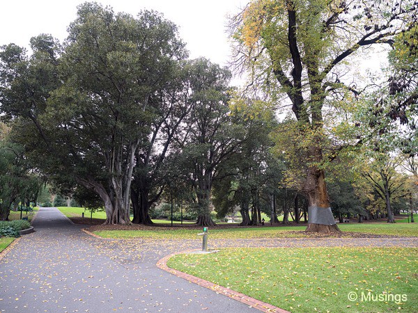 Treasury Gardens. On a fine day, you could spend hours visiting the many parks in the city.