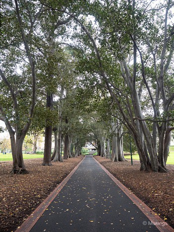 Very serene Treasury Gardens at about 1400 hrs. The kids were quite tired though so we had to skip Fizroy Gardens just beyond it.