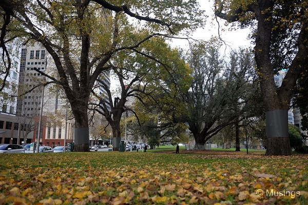 Flagstaff Gardens