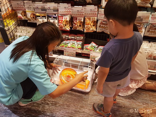 Assembling the cage @ Pet Lovers Centre.